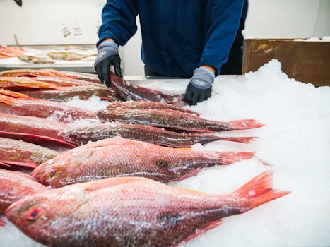 A vibrant display of fresh red snapper neatly arranged on ice at a bustling fish market.
